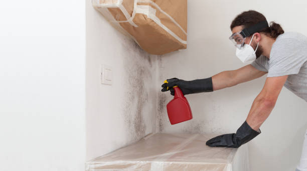 Professional Mold Cleanup technician working in Garfield, NJ
