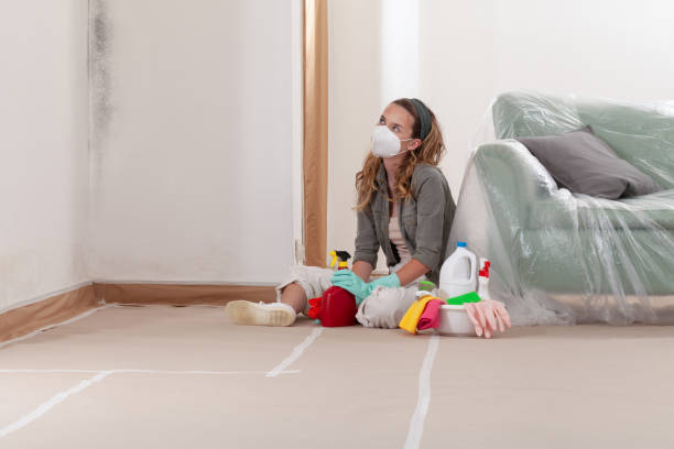 Reliable Mold Cleanup contractor in Garfield, NJ by WQB Mold Removal